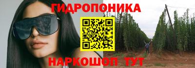 дживик Кингисепп