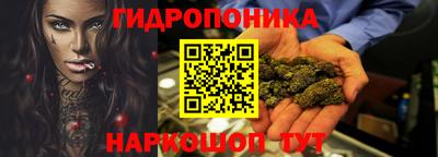 дживик Кингисепп