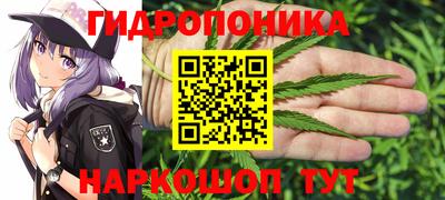 jwh Кинель