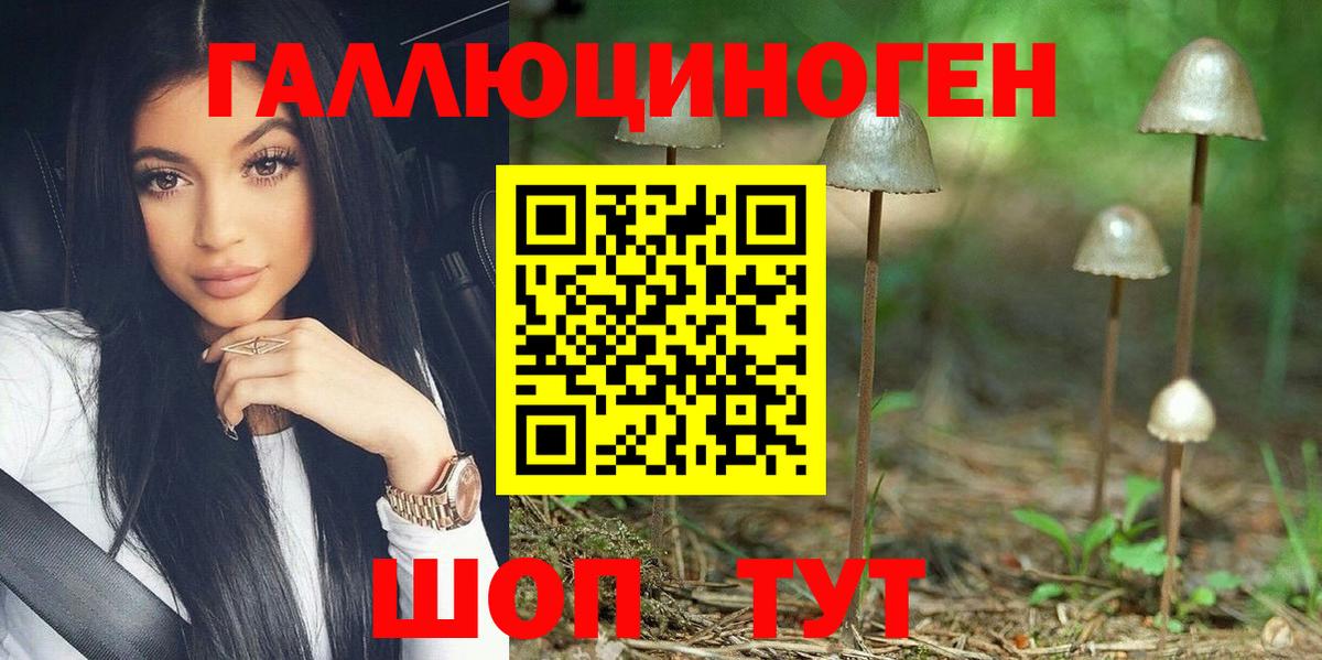 Балтийск  Галлюциногенные грибы Psilocybine cubensis  Вход с VPN 
